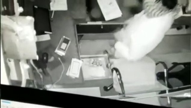 शटर के ताले तोडकऱ महंगे मोबाइल, एसेसरीज व 20 हजार रुपए चोरी