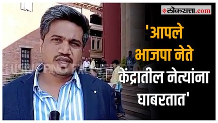 'कर्नाटकचे मुख्यमंत्री हे धाडस कसे करतात?'; Rohit Pawar यांची सीमाप्रश्नावरून राज्यसरकारवर टीका