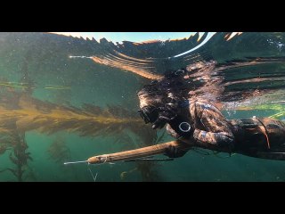 She breaks records hunting underwater 'ghosts' — with a spear almost as