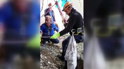 Van'da kuyuya düşen köpek yavrularını AFAD ekipleri kurtardı