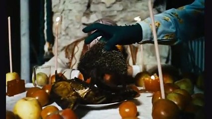 Les oiseaux, les orphelins et les fous Bande-annonce (EN)