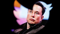Twitter Owner Elon Musk Says He “Will Resign As CEO” When He Finds “Someone Foolish Enough To Take The Job”