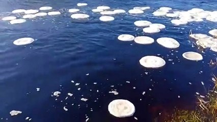 Il mistero delle "pizze di ghiaccio" su un fiume della Svezia