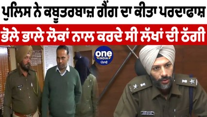 ਅੰਬਾਲਾ ਪੁਲਿਸ ਨੇ ਕਬੂਤਰਬਾਜ਼ ਗੈਂਗ ਦਾ ਕੀਤਾ ਪਰਦਾਫਾਸ਼ | Ambala Police | OneIndia Punjabi