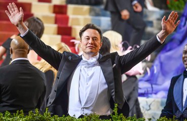 Elon Musk vows to quit as Twitter CEO once he finds 'someone foolish enough to take the job'