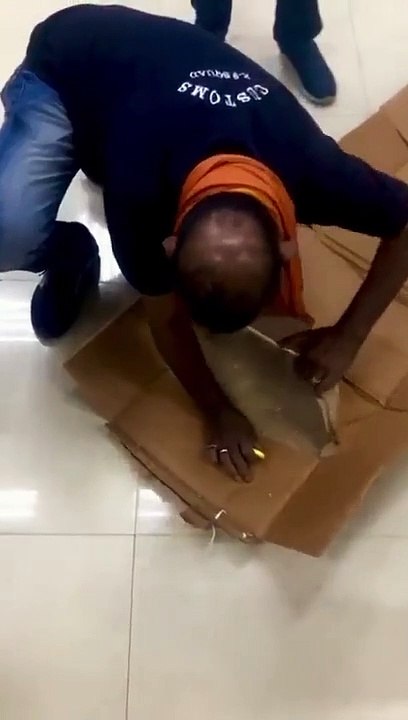 VIDEO: चेन्नई एयरपोर्ट पर स्निफर डॉग का कमाल: प...