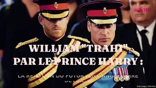William trahi par le prince Harry : la réaction du futur roi d’Angleterre dévoilée
