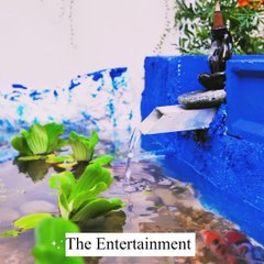 Reuse Your Towels and Create an amazing Backyard || The Entertainment