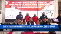 Sat Resnarkoba Polresta Barelang Berhasil Ungkap Narkotika Jenis Daun Ganja Seberat 4.065.75 Gram