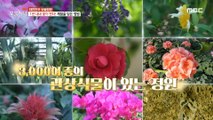 [HOT] Garden with more than 3,000 ornamental plants , 생방송 오늘 저녁 221221