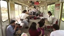 قطار القطط في اليابان ومحاولة لمنع قتلها