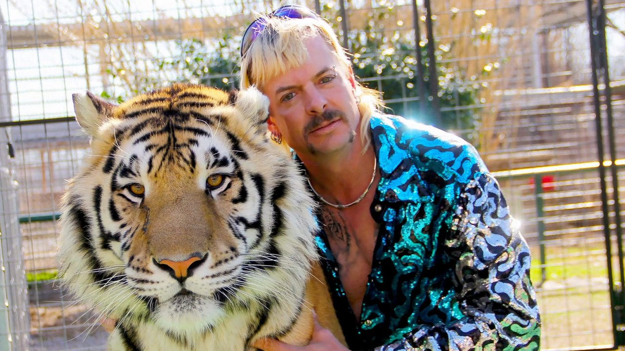 Wie 'Tiger King': USA verbieten private Haltung von Raubkatzen!