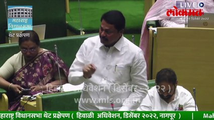 अजितदादा-फडणवीसांमध्ये पेटलं, अध्यक्षांनी मिटवलं