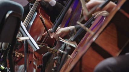 Your What’s on Guide for Manchester 21 December: Viennese Christmas Spectacular by UK Chamber Orchestra