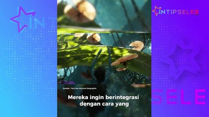 Suku Indonesia jadi Inspirasi Film Avatar: The Way of Water
