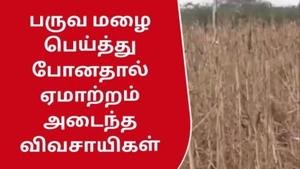 இராமநாதபுரம்: பருவமழை பொய்த்து போனதால் விவசாயம் பாதிப்பு..!