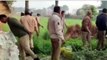 अम्बेडकरनगर: पुलिस ने अवैध शराब के खिलाफ की छापेमारी, लहन व कच्ची शराब किया नष्ट