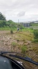 Jovem presa na BR-101 em SC é resgatada de helicóptero para realizar transplante