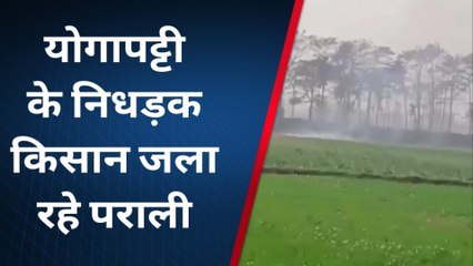 पश्चिमी चंपारण: निधड़क किसान जला रहे पराली, वीडियो वायरल