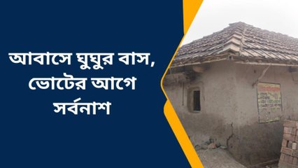 চাঁচল: গরীবের ছাদ নেই, তবু শাসকের দাবি আবাস দুর্নীতি প্রভাব ফেলবে না