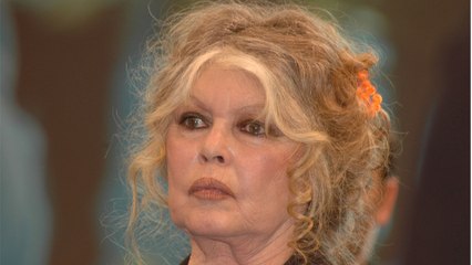 GALA VIDÉO - Brigitte Bardot en colère, elle se défend face aux critiques : “Je n’ai aucun reproche à subir”