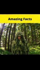 Top 3 historical stories ||  @MRINDIANHACKER  @CrazyXYZ ||  #shorts  #FactBeast