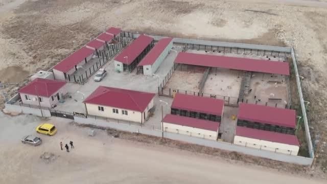 Rehabilitasyon merkezi can dostlara şifa dağıtıyor