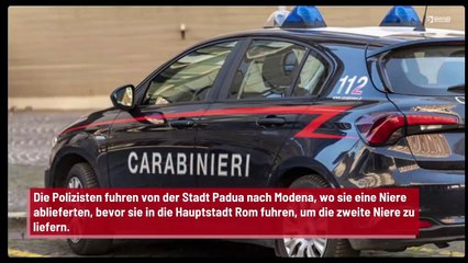 Italienische Polizei: Mit Lamborghini quer durch das Land, um zwei Nieren zu liefern