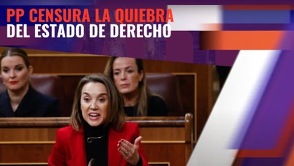 PP censura la quiebra del Estado de derecho mientras que ERC se ofrece al gobierno para insistir en el rodillo y tomar al asalto el Tribunal Constitucional