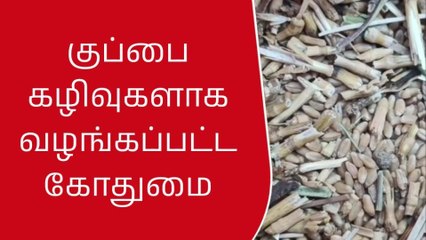 தூத்துக்குடி: ரேஷன் கடையில் குப்பை பாதி - கோதுமை பாதி..!