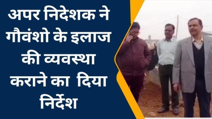 सिद्धार्थनगर: अपर निदेशक ने गौशाला का किया निरीक्षण, दिए निर्देश