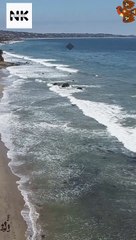 रुकावटें सबके रास्ते में होती है, कोई थक कर किस्मत को कोसता है तो कोई किस्मत से लड़कर अपनी तकदीर लिखता है..!