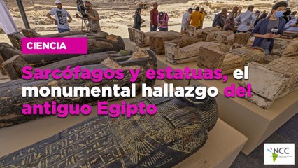 Sarcófagos y estatuas, el monumental hallazgo del antiguo Egipto