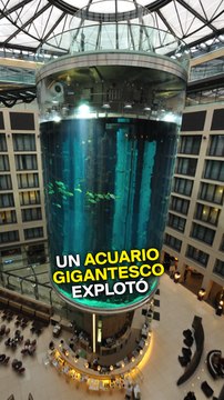 Acuario con 1.500 peces explotó