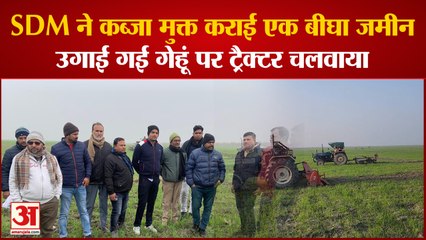 SDM ने कब्जा मुक्त कराई एक बीघा जमीन, उगाई गई गेहूं पर ट्रैक्टर चलवाया