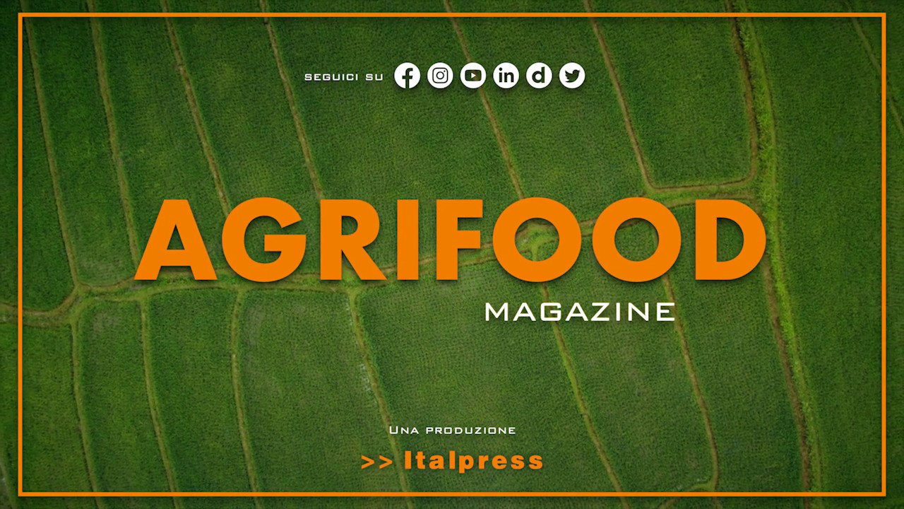Agrifood Magazine - 21/12/2022