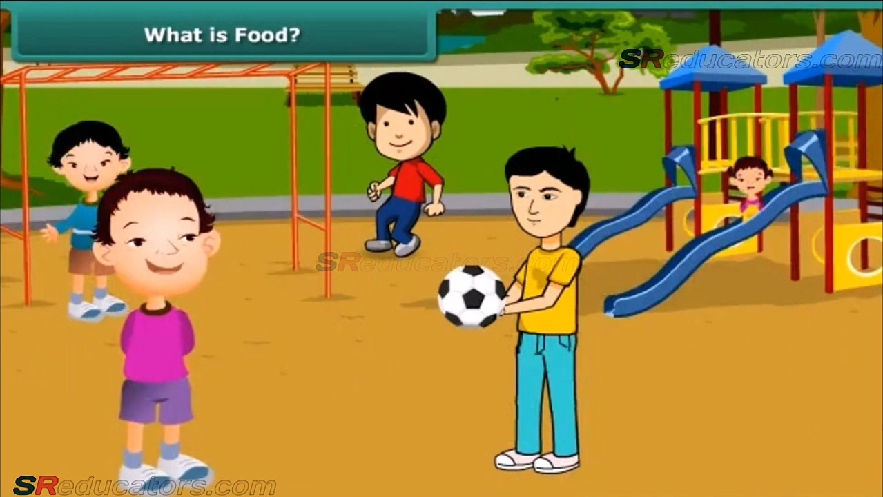 CLASS 6 BIOLOGY COMPONENTS OF FOOD