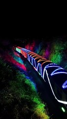 Christmas Train of Lights