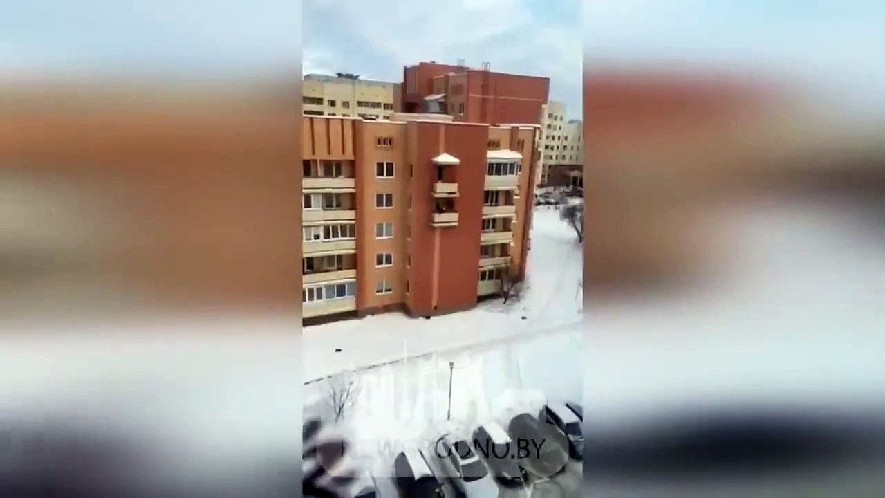 Ce chat a son propre ascenseur... la classe