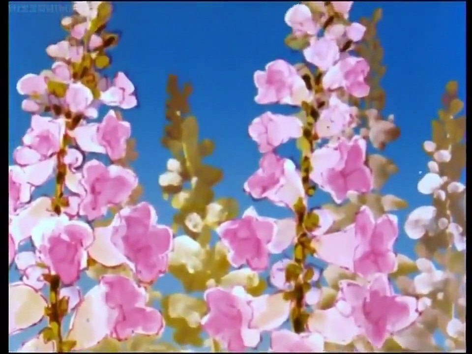 Maya the Bee - Se1 - Ep24 HD Watch HD Deutsch