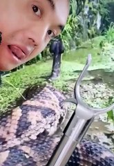 amazing brave man #shorts (top video) 2021