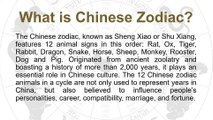 Chinese Zodiac. What Are They? What Is My Chinese Zodiac?