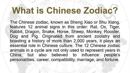 Chinese Zodiac. What Are They? What Is My Chinese Zodiac?