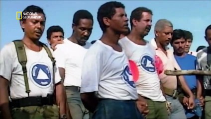 Air Crash - Évanouis dans la jungle - Vol Copa Airlines 201 [Français]