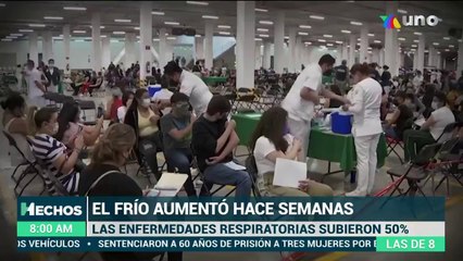 Estos dos virus sumados al Covid-19, podrían provocar la muerte