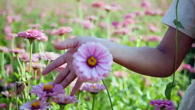 Sad Urdu Ghazal|Urdu Ghazal|Poetry|Urdu Poetry|Romentic Poetry|Whatsapp Status|Dr.Saeed Iqbal Saadi