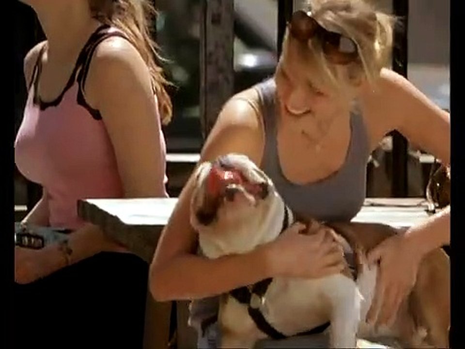 Toi, moi...et mon chien Bande-annonce (IT)