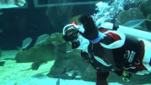 El Papá Noel buzo de Río de Janeiro alimenta tiburones y alegra a los niños