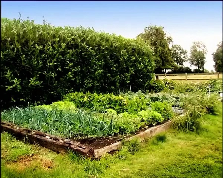 Minuscule - Se2 - Ep02 HD Watch HD Deutsch