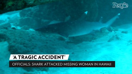 Officials Say Shark Attacked Woman Who Vanished While Snorkeling with Husband, Blast 'Conspiracy Theories'